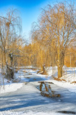 Karlı ağaçlarla çarpıcı bir manzara, suda yansıması olan güzel donmuş bir nehir. Kış manzarası