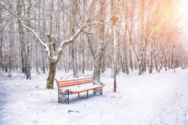 Parktaki banka ve yoğun karla kaplı ağaçlara hayret verici bir manzara. Çok kar var. Kış manzarası