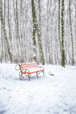 Parktaki banka ve yoğun karla kaplı ağaçlara hayret verici bir manzara. Çok kar var. Kış manzarası