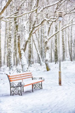 Parktaki banka ve yoğun karla kaplı ağaçlara hayret verici bir manzara. Çok kar var. Kış manzarası