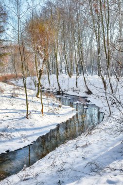 Şehir parkında karlı ağaçlar ve güzel donmuş nehirlerle muhteşem bir manzara. Kış manzarası
