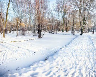 Şehir parkında karla kaplı ağaçlarla nefes kesici bir manzara. Kış mevsiminin güzelliği.