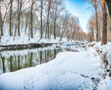 Şehir parkında karlı ağaçlar ve donmuş nehirdeki güzel yansımalarla muhteşem bir manzara. Kış manzarası