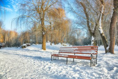 Parktaki banka ve yoğun karla kaplı ağaçlara göz kamaştırıcı bir manzara. Çok kar var. Kış manzarası