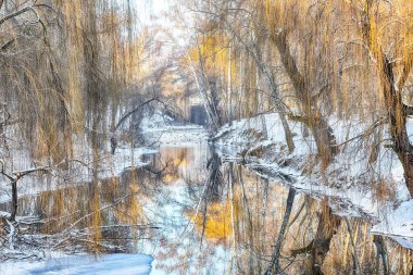 Karlı ağaçlar ve donmuş nehirdeki güzel yansımalarla şehir parkındaki nefes kesici manzara. Kış manzarası