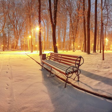 Akşamları karla kaplı banklarla kış parkı manzarası nefes kesici. Central Park 'ta kış akşamı