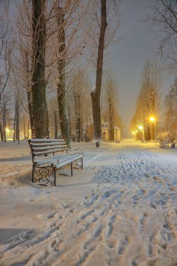 Akşamları karla kaplı banklarla kış parkı manzarası nefes kesici. Central Park 'ta kış akşamı