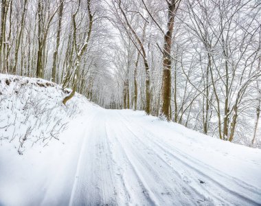 Ormandaki kış yolu harika görünüyor. Kışın çok kar yağar.