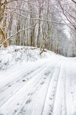 Ormandaki kış yolunun hayret verici manzarası. Kışın çok kar yağar.