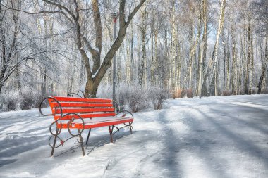 Parkın görkemli manzarası ve yoğun karla kaplı ağaçlar. Çok kar var. Kış manzarası