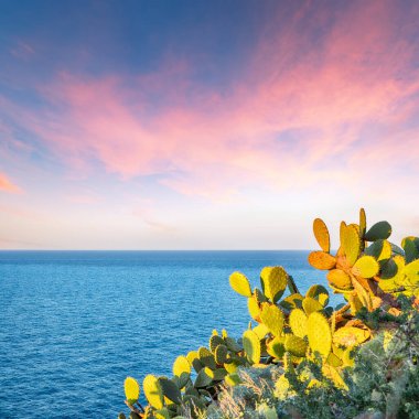 Doğa koruma alanının Milazzo Burnu 'nun muhteşem bahar manzarası. Konum: Milazzo Burnu, Tyrhenian Denizi, Sicilya Adası, İtalya, Avrupa