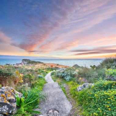 Doğa koruma alanının Milazzo Burnu 'nun muhteşem bahar manzarası. Konum: Milazzo Burnu, Tyrhenian Denizi, Sicilya Adası, İtalya, Avrupa