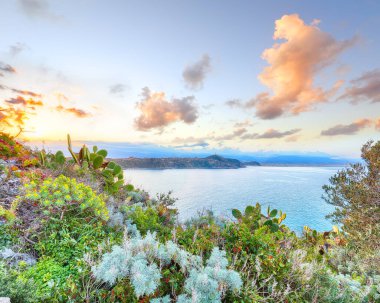 Doğa koruma alanının Milazzo Burnu 'nda inanılmaz bir bahar manzarası var. Konum: Milazzo Burnu, Tyrhenian Denizi, Sicilya Adası, İtalya, Avrupa