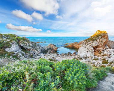 Doğanın Milazzo Burnu 'nun muhteşem bahar manzarası Piscina di Venere' de. Konum: Milazzo Burnu, Tyrhenian Denizi, Sicilya Adası, İtalya, Avrupa