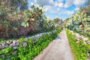 Gündüz vakti Cape Milazzo 'daki çiçek açan bahçeye hayret verici bir manzara. Mekan: Sicilya Adası, Milazzo Burnu, İtalya, Avrupa, Tyrhenian Denizi.