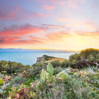 Doğa koruma alanının Milazzo Burnu 'nun muhteşem bahar manzarası. Konum: Milazzo Burnu, Tyrhenian Denizi, Sicilya Adası, İtalya, Avrupa