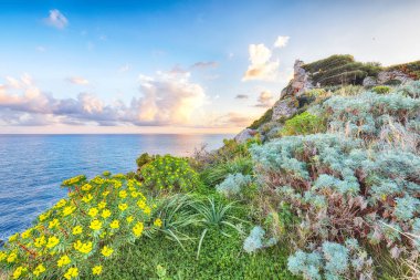 Doğanın Milazzo Burnu 'nun muhteşem bahar manzarası Piscina di Venere' de. Konum: Milazzo Burnu, Tyrhenian Denizi, Sicilya Adası, İtalya, Avrupa