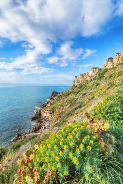 Doğanın Milazzo Burnu 'nun büyüleyici bahar manzarası Piscina di Venere' de. Konum: Milazzo Burnu, Tyrhenian Denizi, Sicilya Adası, İtalya, Avrupa