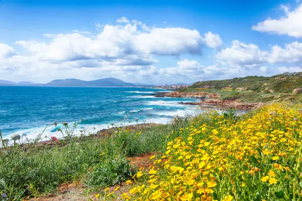 Sabahları Alghero şehrinin inanılmaz ilkbahar manzarası. Fantastik Akdeniz manzarası. Konum: Alghero, Sassari ili, İtalya, Avrupa