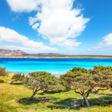 Torre della Pelosa yakınlarındaki ünlü La Pelosa plajı ve bahçesi nefes kesici sabah manzarası. Konum: Stintino, Sassari ili, İtalya, Avrupa