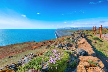 Atlantik 'in güney kıyısındaki Dyrholaey' den Kirkjufjara 'nın kara kumsal manzarası etkileyici.