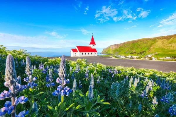 Vikurkirkja Hristiyan kilisesinin çiçek açması çok etkileyici. Popüler turizm merkezinin manzaralı görüntüsü