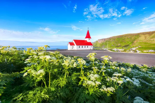Vikurkirkja Hristiyan kilisesinin çiçek açan manzarası. Popüler turizm merkezinin manzaralı görüntüsü