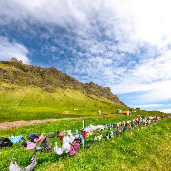İzlanda 'da Skogafoss yakınlarındaki ana yolda sütyenli çitlerin manzarası çok etkileyici. İzlanda 'nın cazibelerinden biri. Konum: Skgafoss, İzlanda, Avrupa yakınlarındaki ana yol