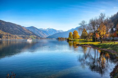 Sell Am See şehir parkındaki göl ve ağaçların muhteşem sonbahar manzarası. Gölün üzerinde güneşli harika bir gün.