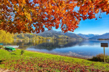 Sell Am See şehir parkındaki göl ve ağaçların muhteşem sonbahar manzarası. Gölün üzerinde güneşli harika bir gün.