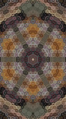 Etnik karışık nakış tasarımı konsepti. İpek sari, halı, kurti, eşarp, dijital tekstil baskısı için antik phulkari sanatı. İç dekorasyon fikri. Hint motifleri ile süblimleşme baskı tasarımı