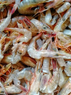 Taze ve mutfakta çiğ karides pişirmeye hazır. Plaj kenarı restoranı için en lezzetli deniz ürünleri.
