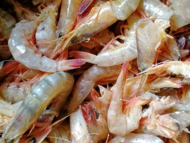 Taze ve mutfakta çiğ karides pişirmeye hazır. Plaj kenarı restoranı için en lezzetli deniz ürünleri.