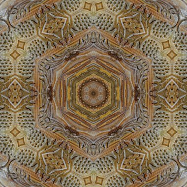 Pahalı ahşap tahtaya el yapımı lüks sanat eserleri kazınmış. Sınır, çerçeve, döşeme, duvar kaplaması, mobilya dekorasyonu, fayanslar, ambalaj kağıdı baskısı için oymalı el işi tasarımı