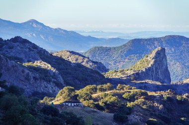 Sierra de Grazalema Doğal Parkı, Cadiz ili, Endülüs, İspanya.