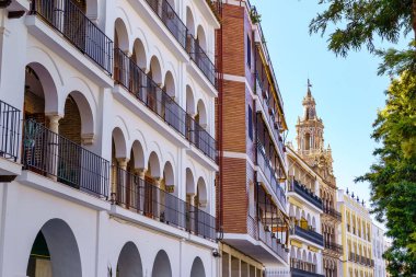 Ecija, Seville insanlığının miras şehrinin ortaçağ kilise kulesine sahip resim gibi binalar.