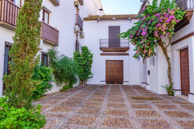 Tipik Endülüs verandası. Evleri beyaza boyanmış, eski ahşap kapılar ve ön cephelerde çiçek açan bitkiler.