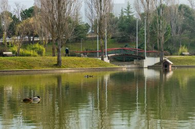 Public park with a lake with reflections in the water and people walking quietly