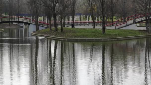 Public Park Large Lake Trees Reflected Cloudy Winter Day — Stok video