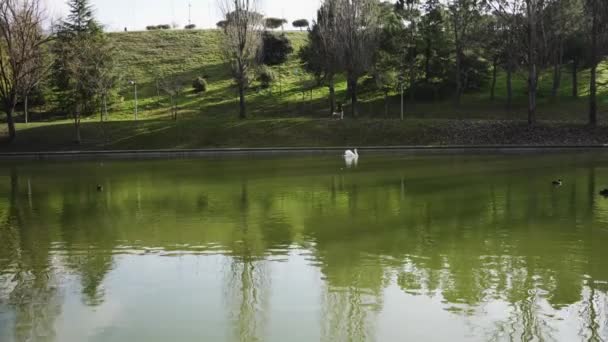 Δημόσιο Πάρκο Μια Λίμνη Αντανακλάσεις Στο Νερό Και Άνθρωποι Περπατούν — Αρχείο Βίντεο