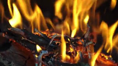 Close-up of a fire burning with oak tree wood with flames crackling inside the stove