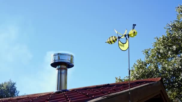 Wasp Shaped Weather Vane Moves Wind Roof Wooden House — Vídeo de Stock