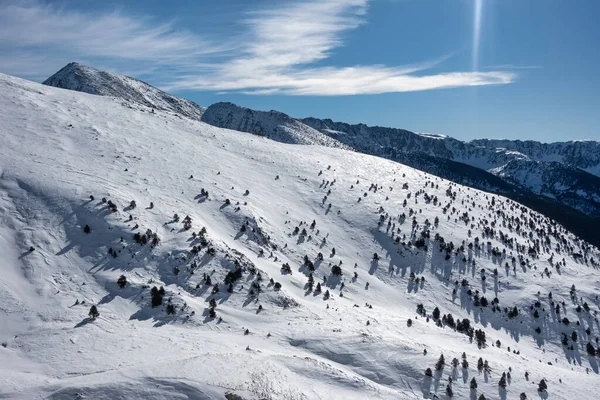 Snowy Landscape Trees High Mountains Mountain Range Pyrenees Andorra — Fotografia de Stock