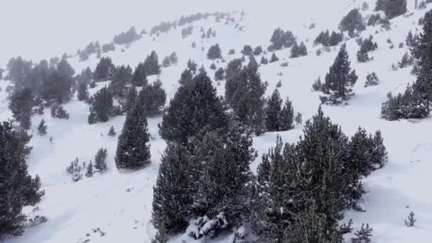 Zwervend Hoge Bergen Met Naaldbomen Mist Aan Horizon Andorra — Stockvideo
