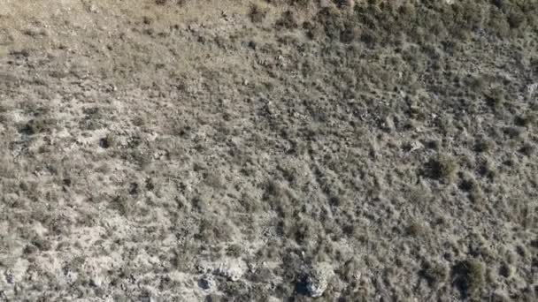Скалистая Гора Стаей Больших Стервятников Сидящих Высоко Скалах Сеговия Испания — стоковое видео