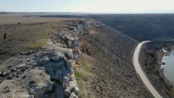 Multitude Large Vultures Flying Perched Top High Rocks Cliff Formed — ストック動画