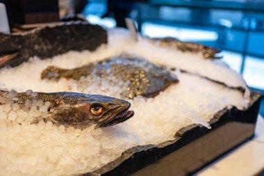 Bütün balık buzla dolu bir tezgahta sergileniyor ve satışa hazır, Mercado de San Miguel, Madrid