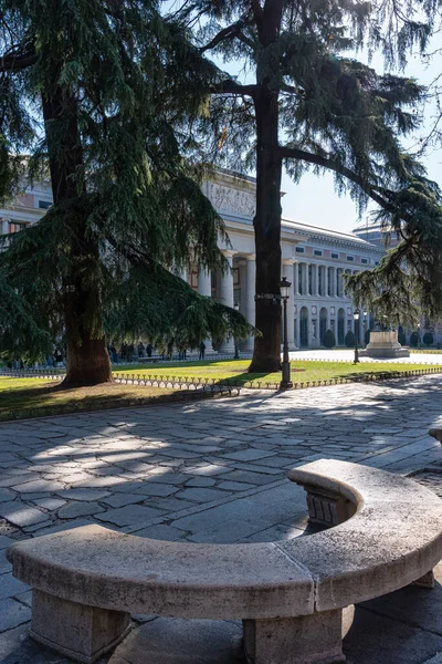 Park Met Hoge Bomen Naast Hoofdgevel Van Het Prado Museum — Stockfoto