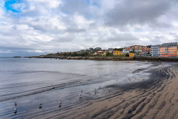 Spanya Nın Kuzeyindeki Kumsalda Dalgalarla Oynayan Martılarla Luanco Asturias — Stok fotoğraf