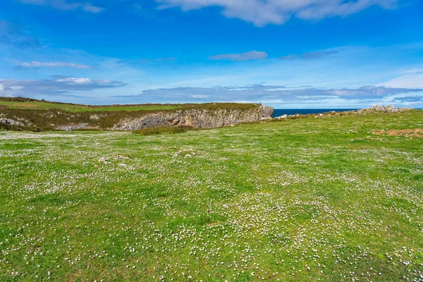 Groene Weiden Met Bloemen Hoog Kliffen Aan Cantabrische Zee Asturië — Stockfoto